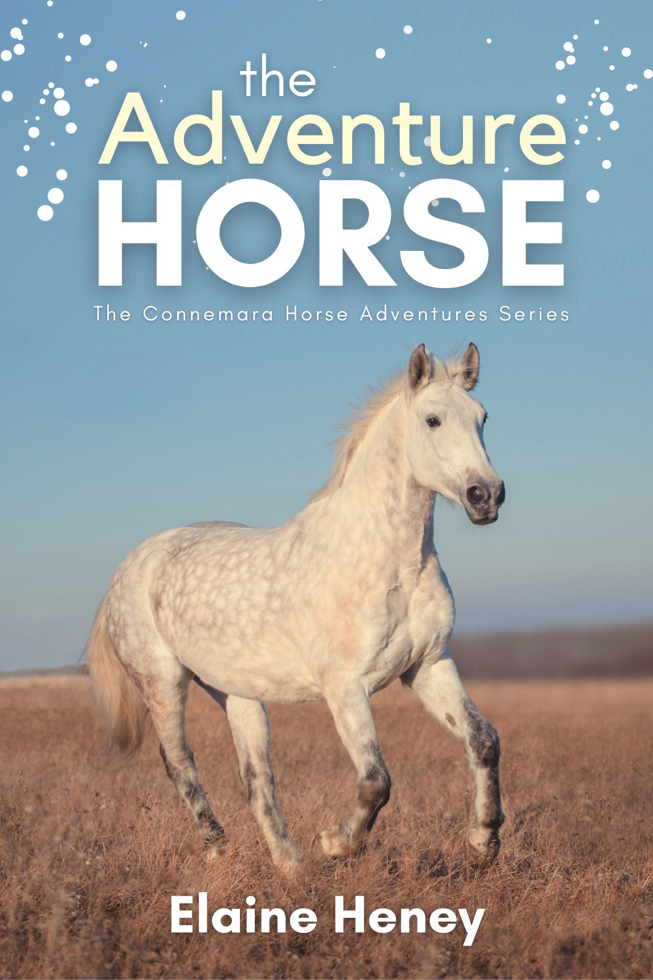 The Adventure Horse - Book 5 in the Connemara Horse Adventure Series for Kids - AnPost