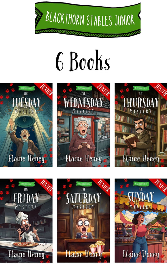 Blackthorn Stables Junior - 6 Book Bundle - AnPost