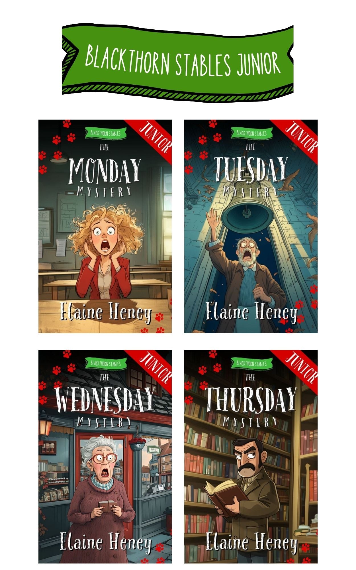 Blackthorn Stables Junior - 4 Book Bundle - AnPost