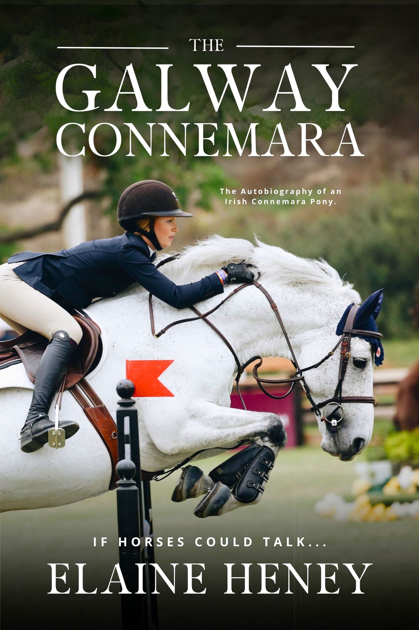 The Galway Connemara | The Autobiography of an Irish Connemara Pony - PAPERBACK - AnPost