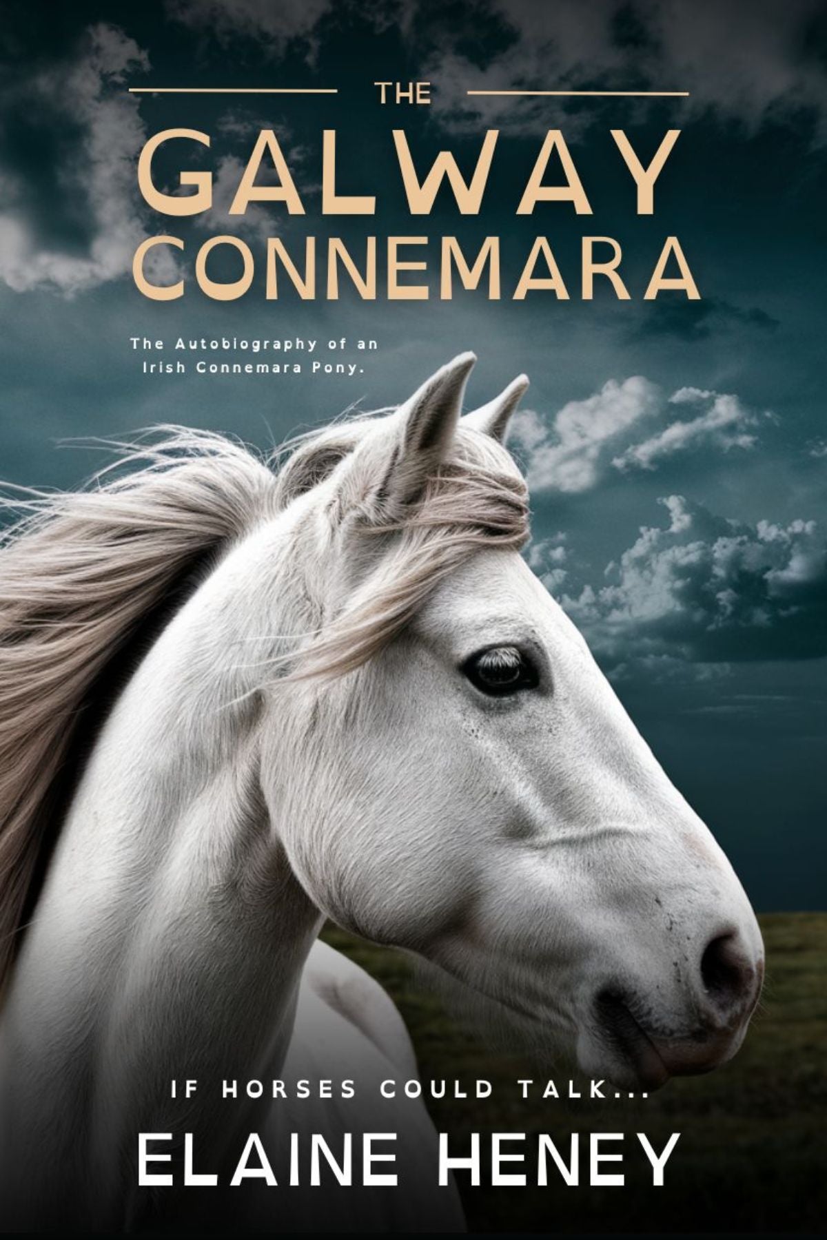 The Galway Connemara | The Autobiography of an Irish Connemara Pony - Dyslexia Friendly