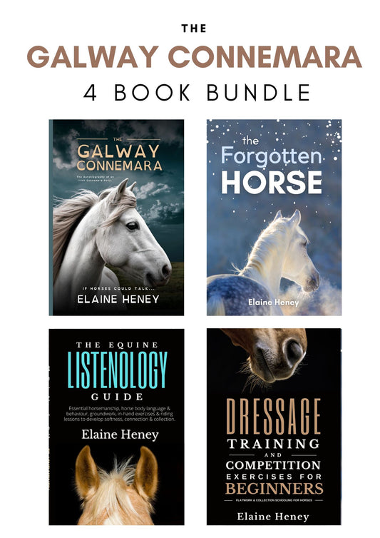The Galway Connemara 4 Book Bundle