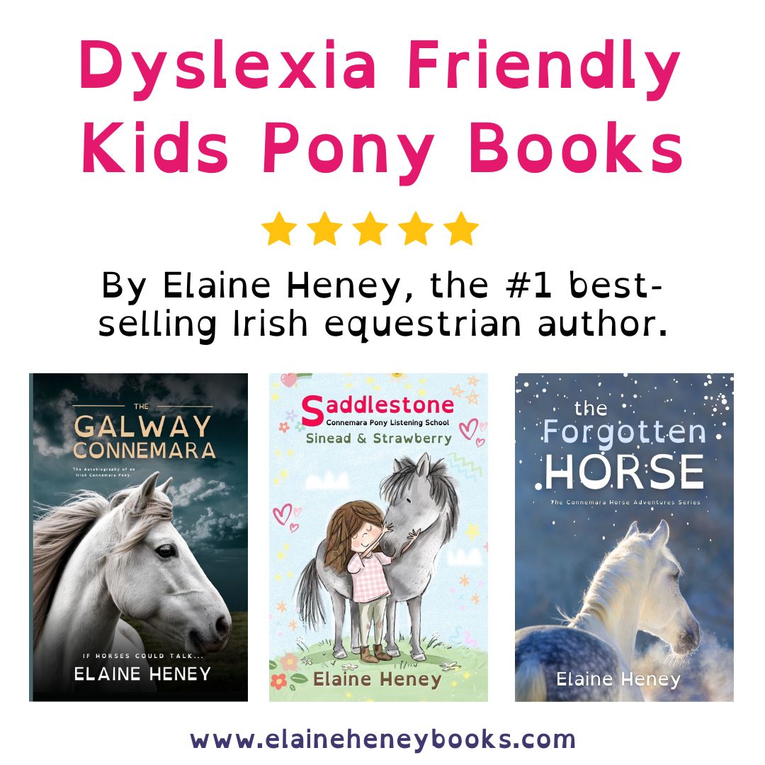 Dyslexia Friendly 3 Book Bundle
