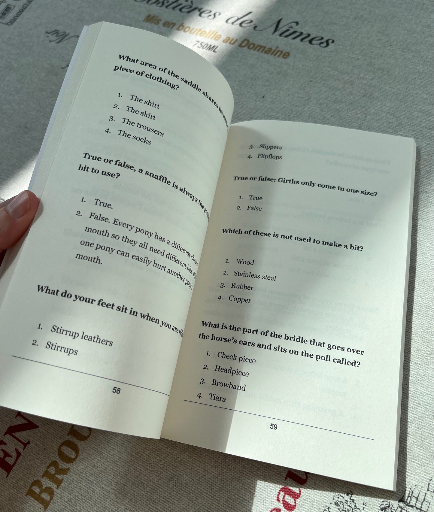 Saddlestone Horse & Pony Quiz Book for Kids
