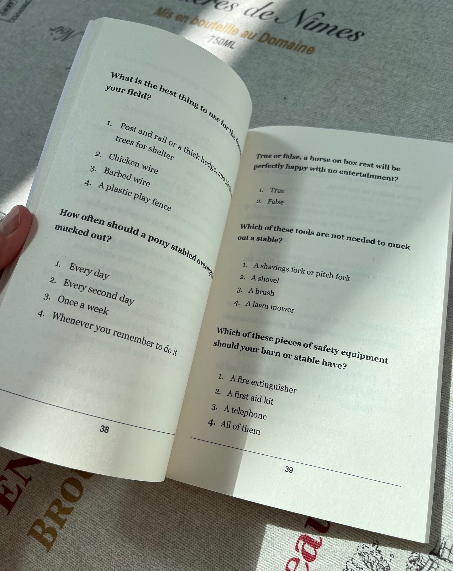 Saddlestone Horse & Pony Quiz Book for Kids