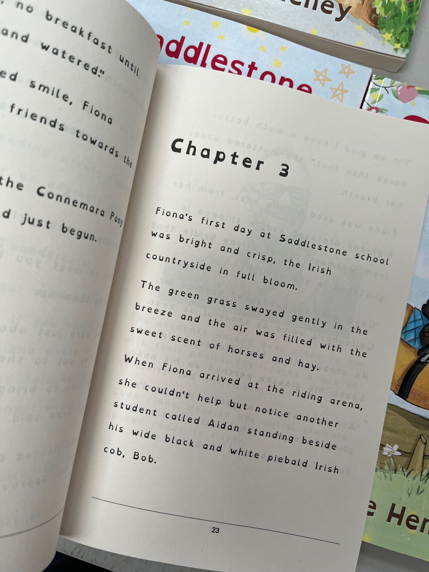 Saddlestone - Dyslexia Friendly 4 Book Bundle - AnPost