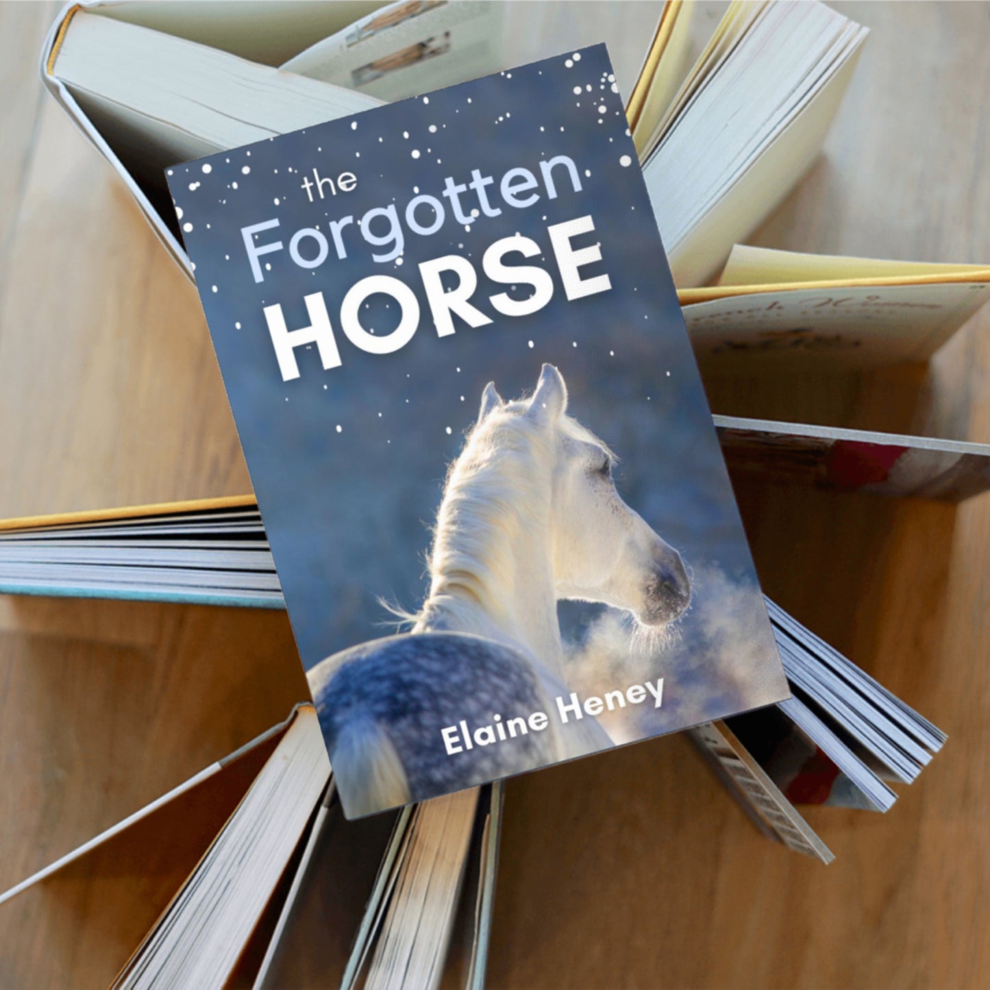 The Forgotten Horse - Book 1 in the Connemara Horse Adventure Series for Kids. The perfect gift for children age 8-12