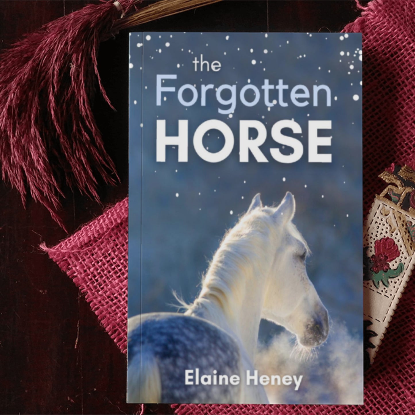 The Forgotten Horse - Book 1 in the Connemara Horse Adventure Series for Kids. The perfect gift for children age 8-12