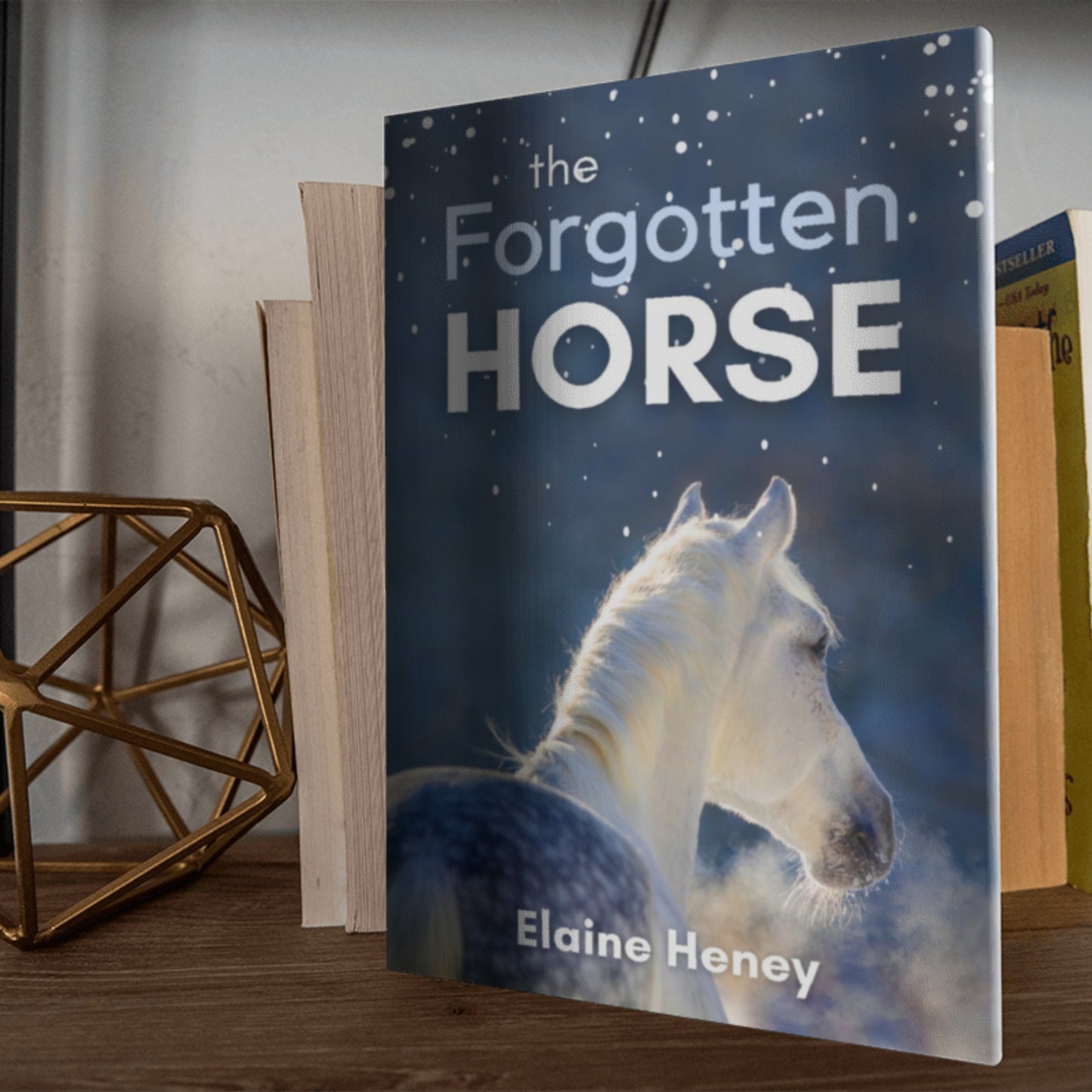 The Forgotten Horse - Book 1 in the Connemara Horse Adventure Series for Kids. The perfect gift for children age 8-12