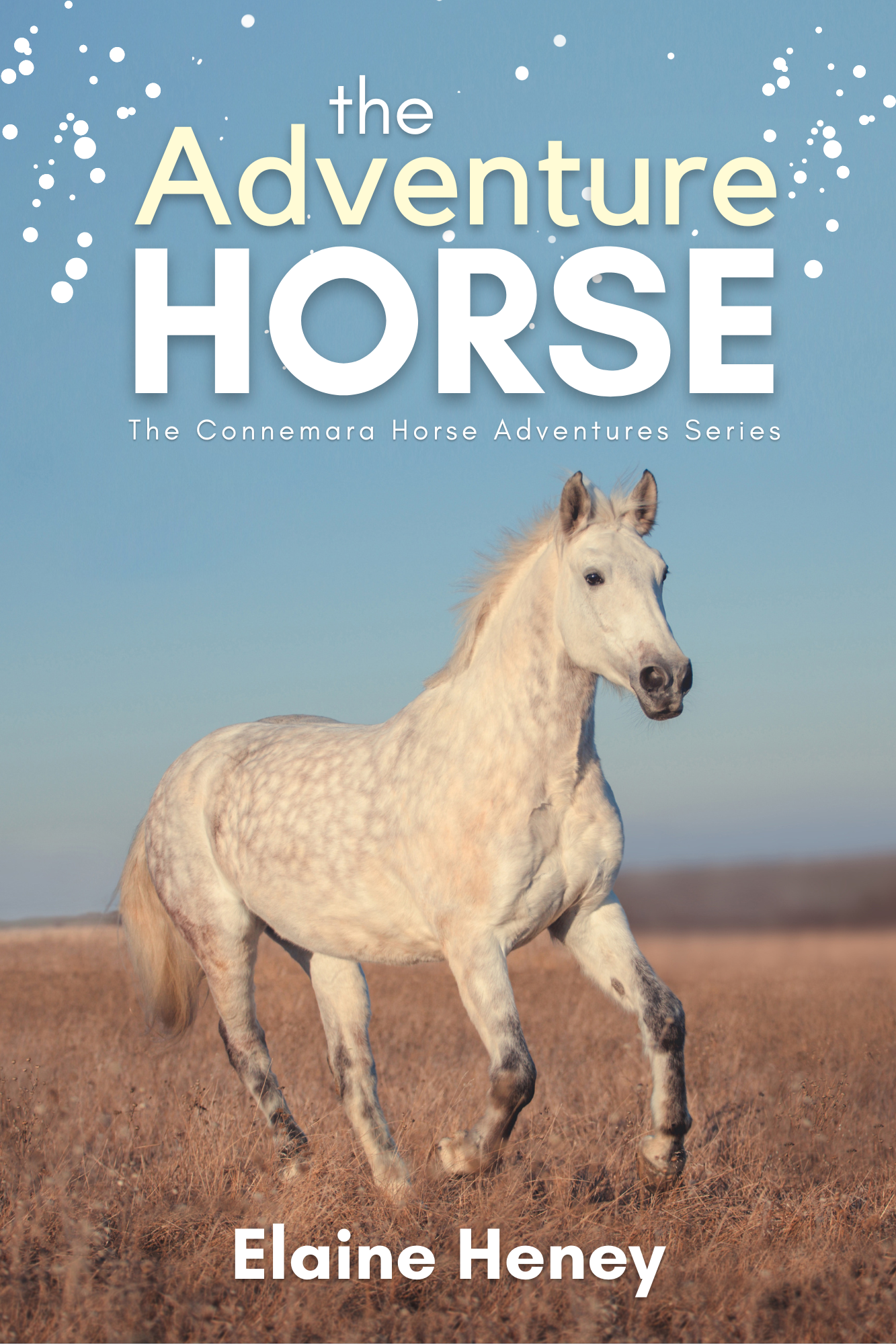 The Ultimate Guide to the Appaloosa horse - Listenology by Elaine Heney