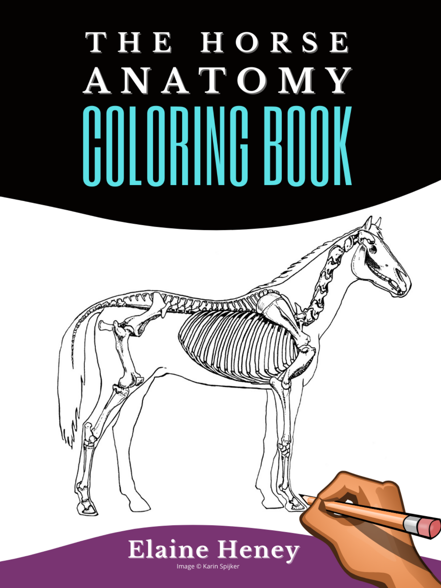Horse Anatomy Coloring Book - Self Assessment Equine Workbook - AnPost