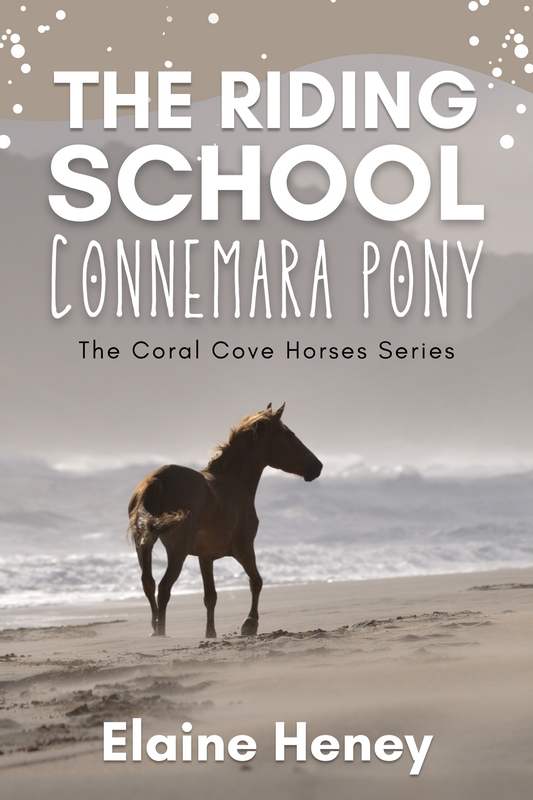 The Riding School Connemara Pony - The Coral Cove Horses Series