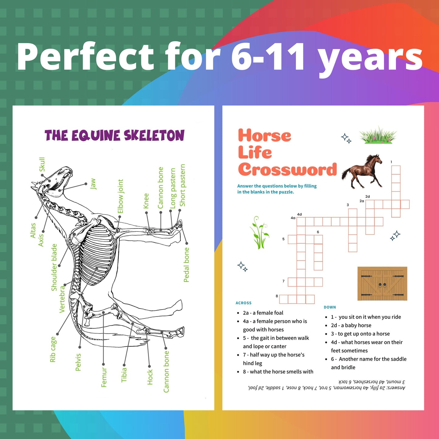 Horse Care, Riding & Training for Kids age 6 to 11