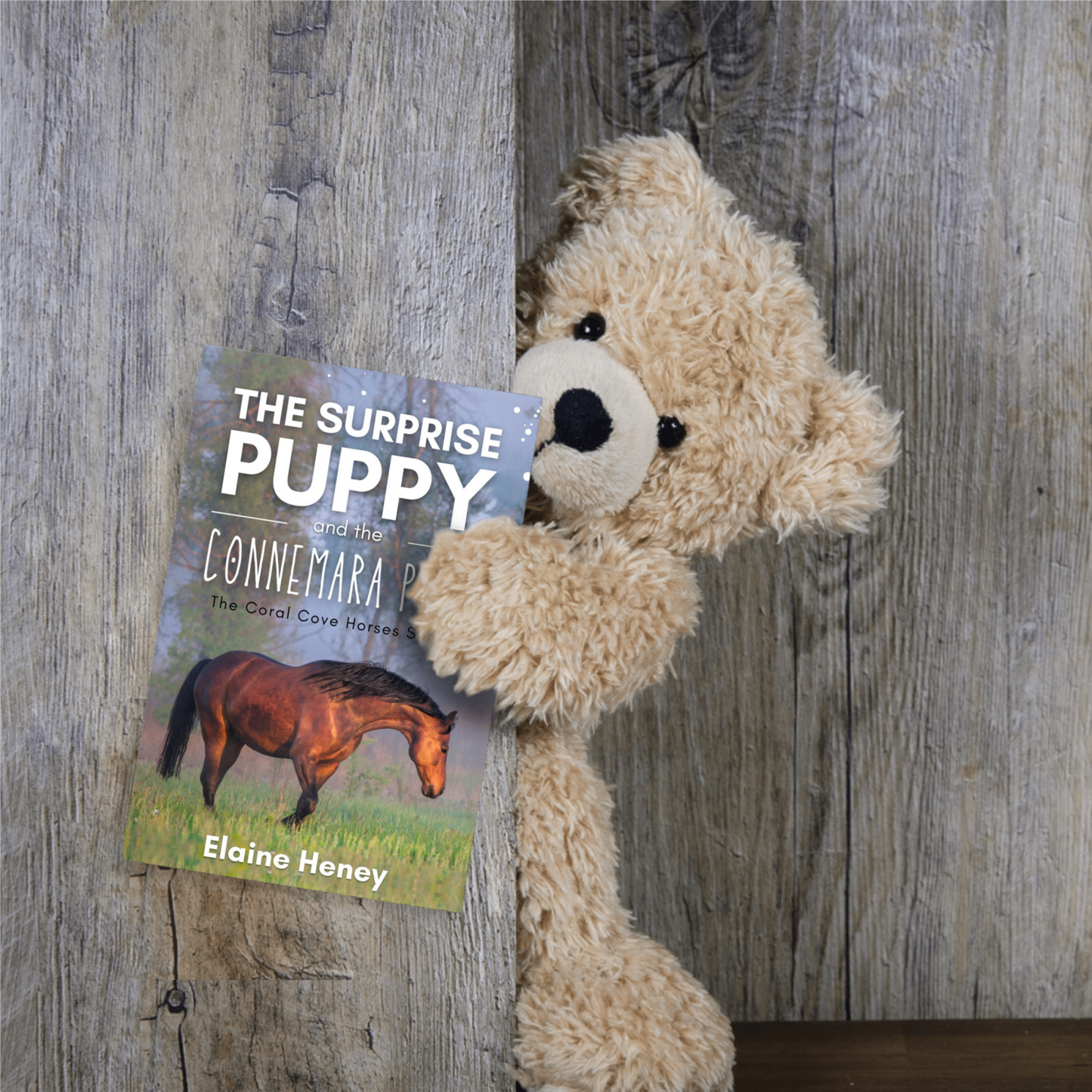 The Surprise Puppy and the Connemara Pony - The Coral Cove Horses Series
