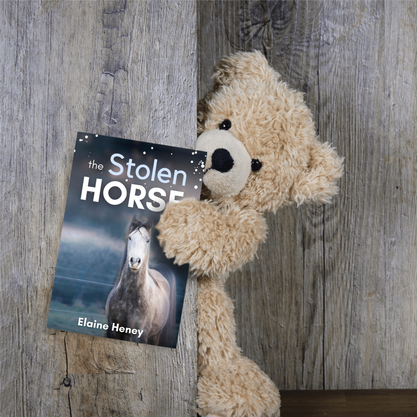 The Stolen Horse - Book 4 in the Connemara Horse Adventure Series for Kids | The Perfect Gift for Children age 8-12