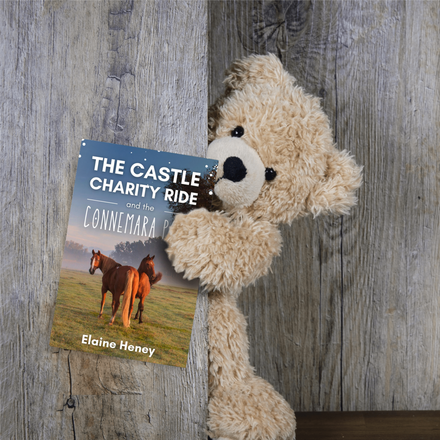The Castle Charity Ride and the Connemara Pony - The Coral Cove Horses Series