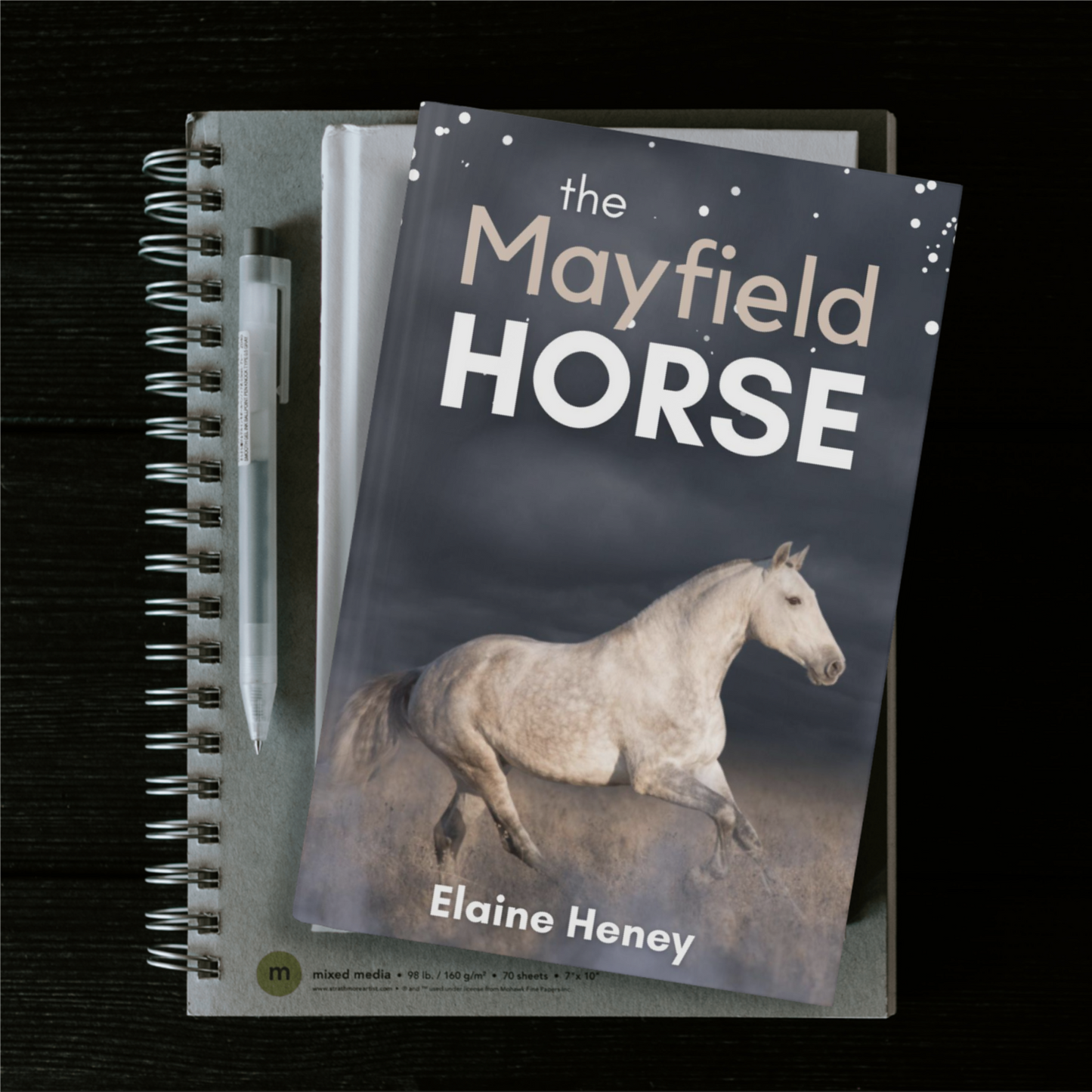 The Mayfield Horse - Book 3 in the Connemara Horse Adventure Series for Kids | The Perfect Gift for Children age 8-12