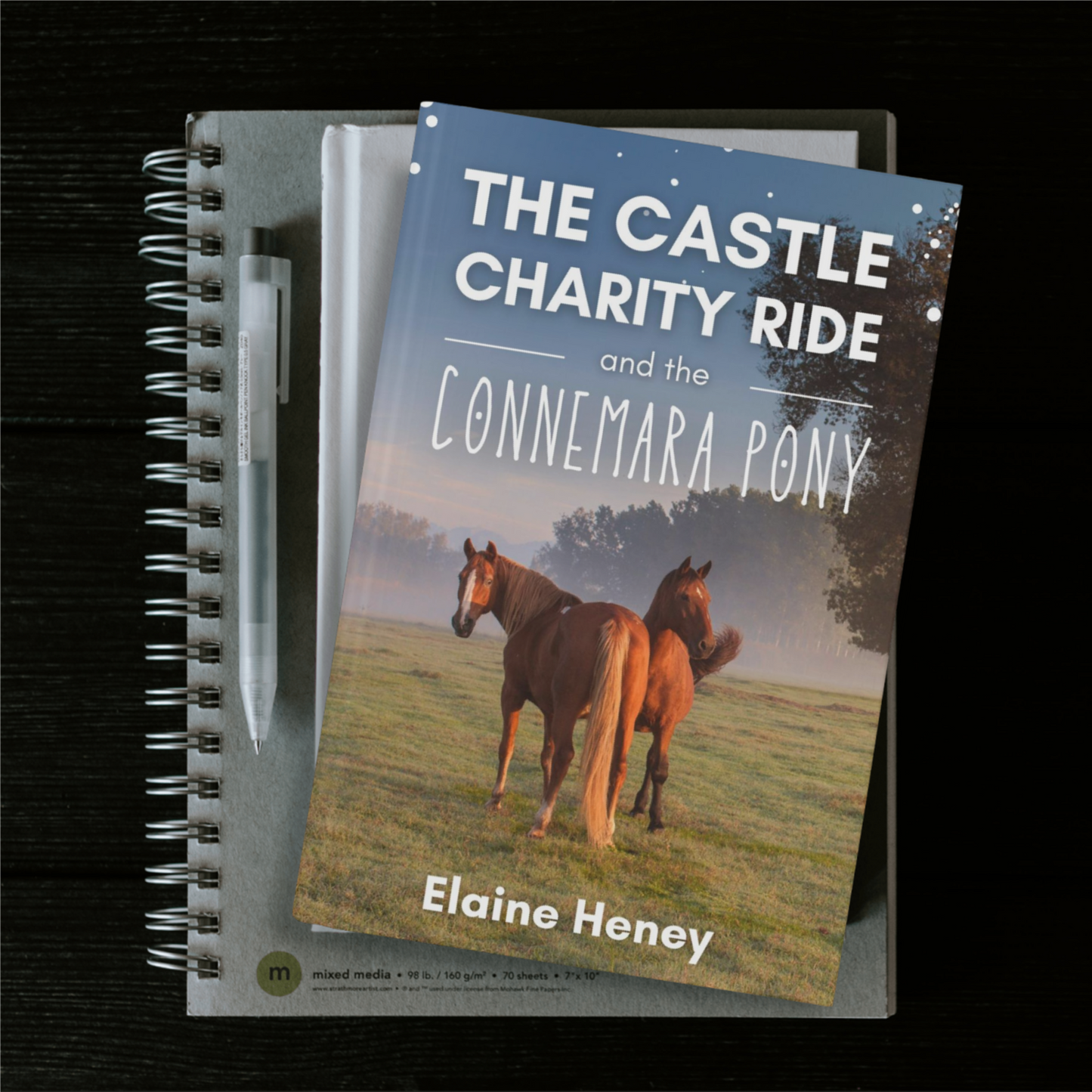 The Castle Charity Ride and the Connemara Pony - The Coral Cove Horses Series