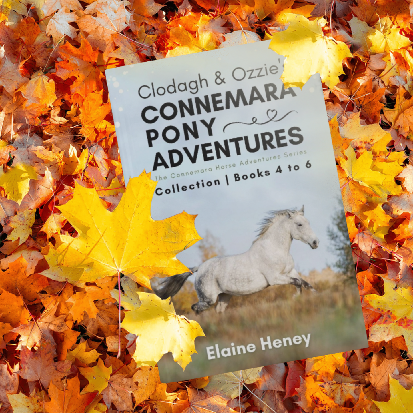Clodagh & Ozzie's Connemara Pony Adventures | The Connemara Horse Adventures Series Collection - Books 4 to 6