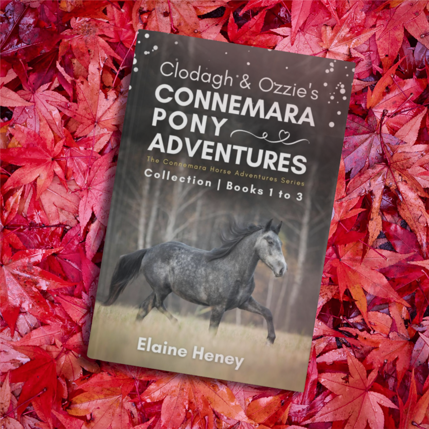 Clodagh & Ozzie's Connemara Pony Adventures | The Connemara Horse Adventures Series Collection - Books 1 to 3