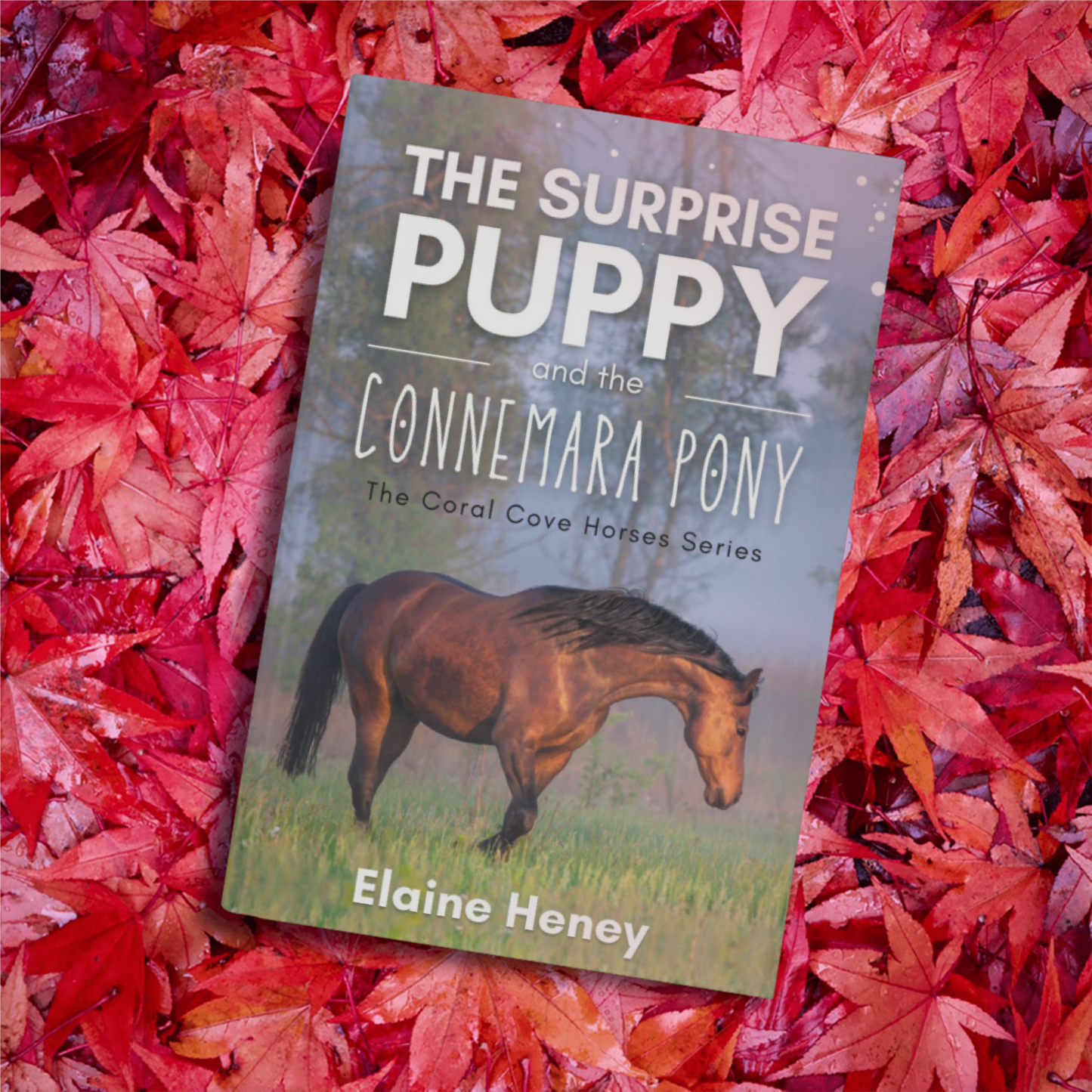 The Surprise Puppy and the Connemara Pony - The Coral Cove Horses Series