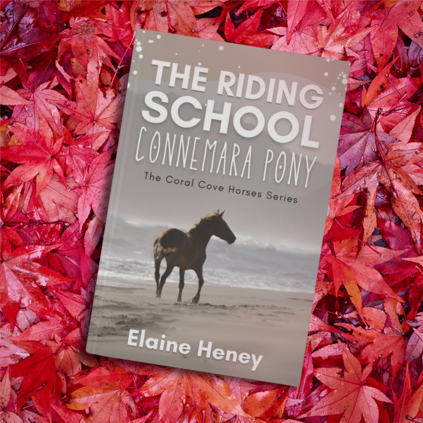 The Riding School Connemara Pony - The Coral Cove Horses Series
