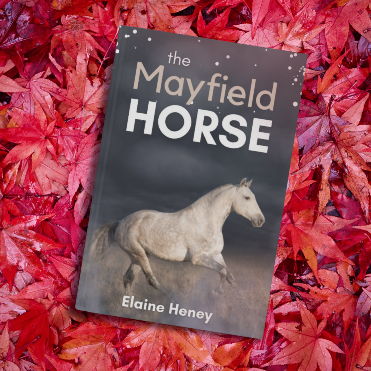 The Mayfield Horse - Book 3 in the Connemara Horse Adventure Series for Kids | The Perfect Gift for Children age 8-12