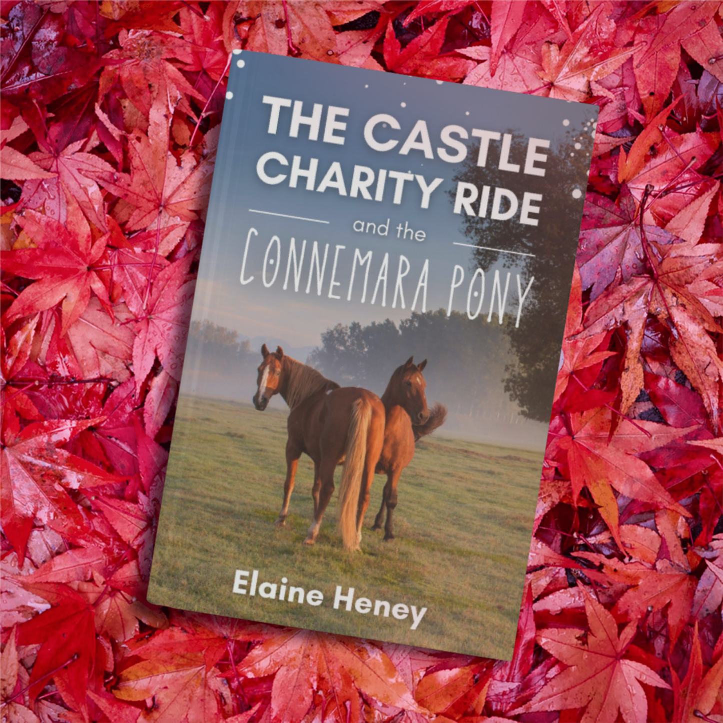 The Castle Charity Ride and the Connemara Pony - The Coral Cove Horses Series