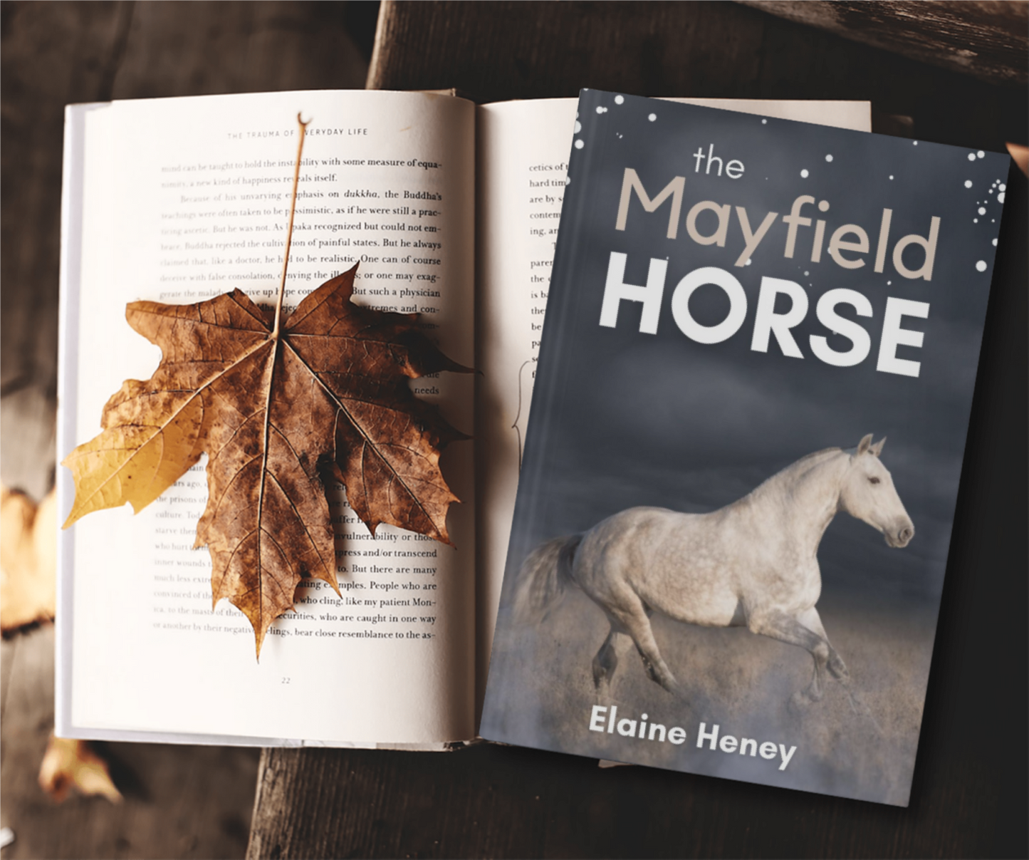 The Mayfield Horse - Book 3 in the Connemara Horse Adventure Series for Kids | The Perfect Gift for Children age 8-12