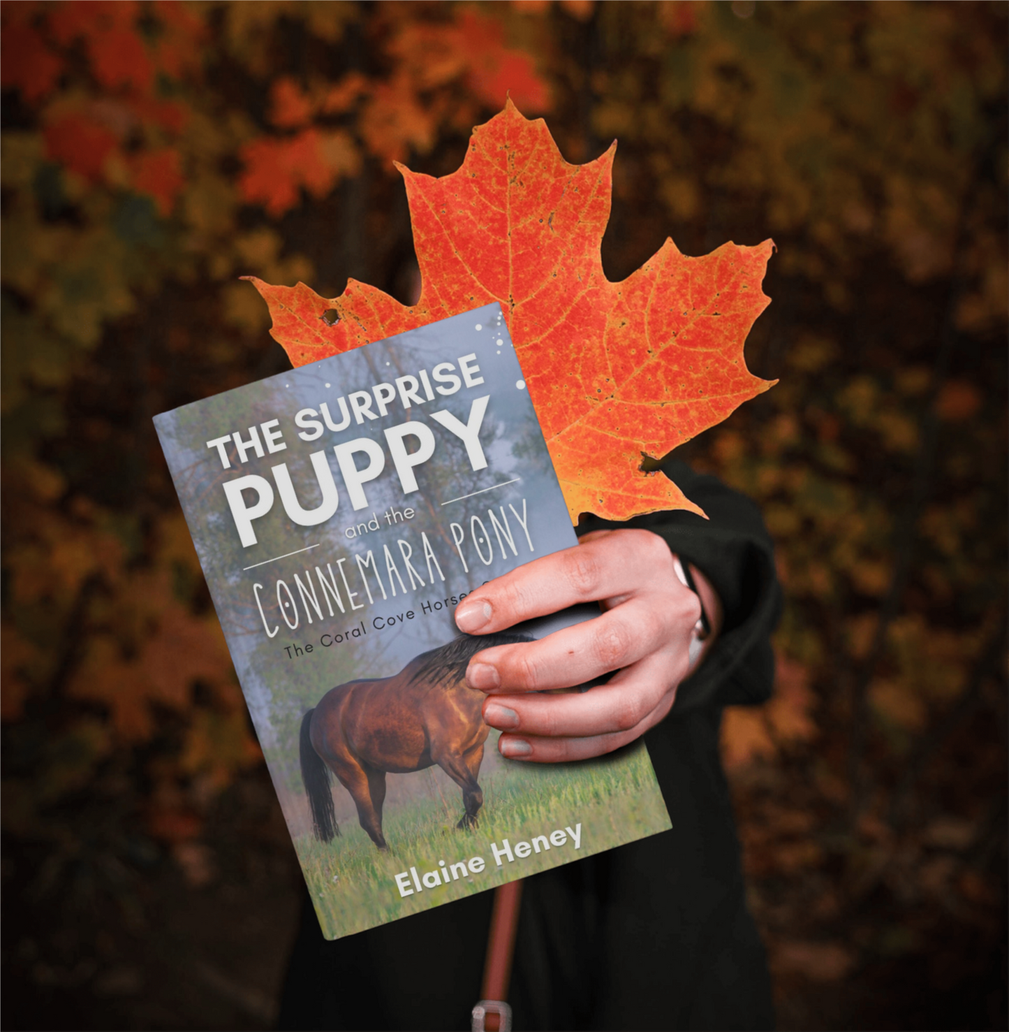 The Surprise Puppy and the Connemara Pony - The Coral Cove Horses Series