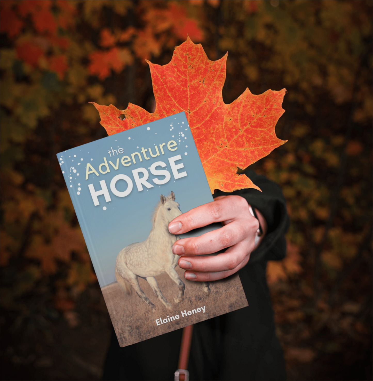 The Adventure Horse - Book 5 in the Connemara Horse Adventure Series for Kids