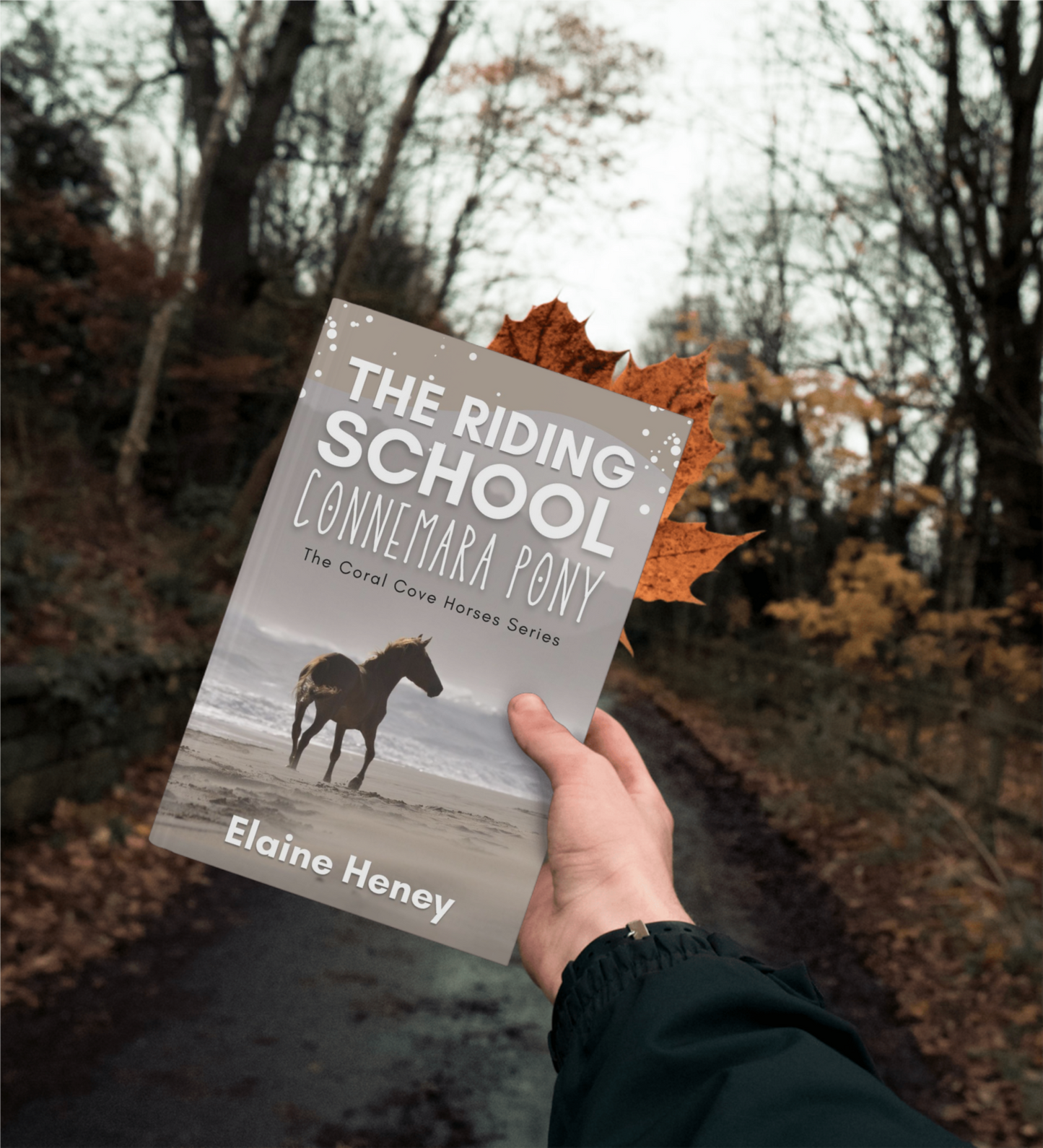 The Riding School Connemara Pony - The Coral Cove Horses Series