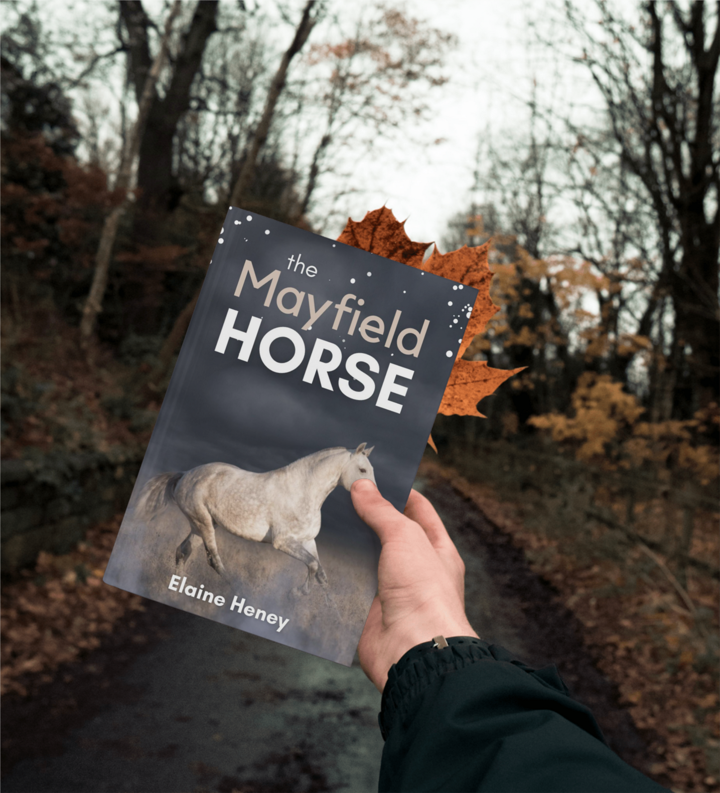 The Mayfield Horse - Book 3 in the Connemara Horse Adventure Series for Kids | The Perfect Gift for Children age 8-12