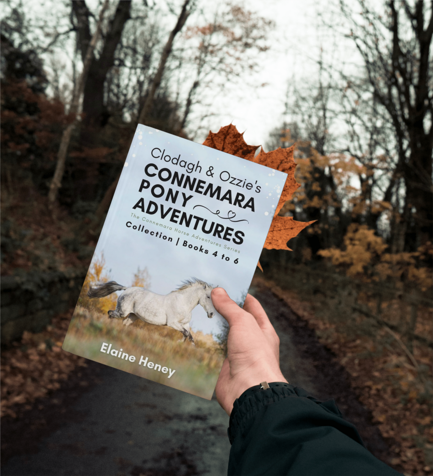 Clodagh & Ozzie's Connemara Pony Adventures | The Connemara Horse Adventures Series Collection - Books 4 to 6