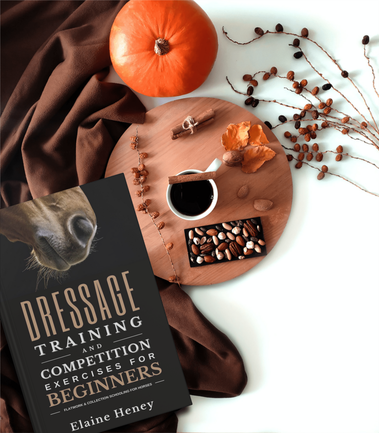 Dressage training and competition exercises for beginners: Flatwork & collection schooling for horses