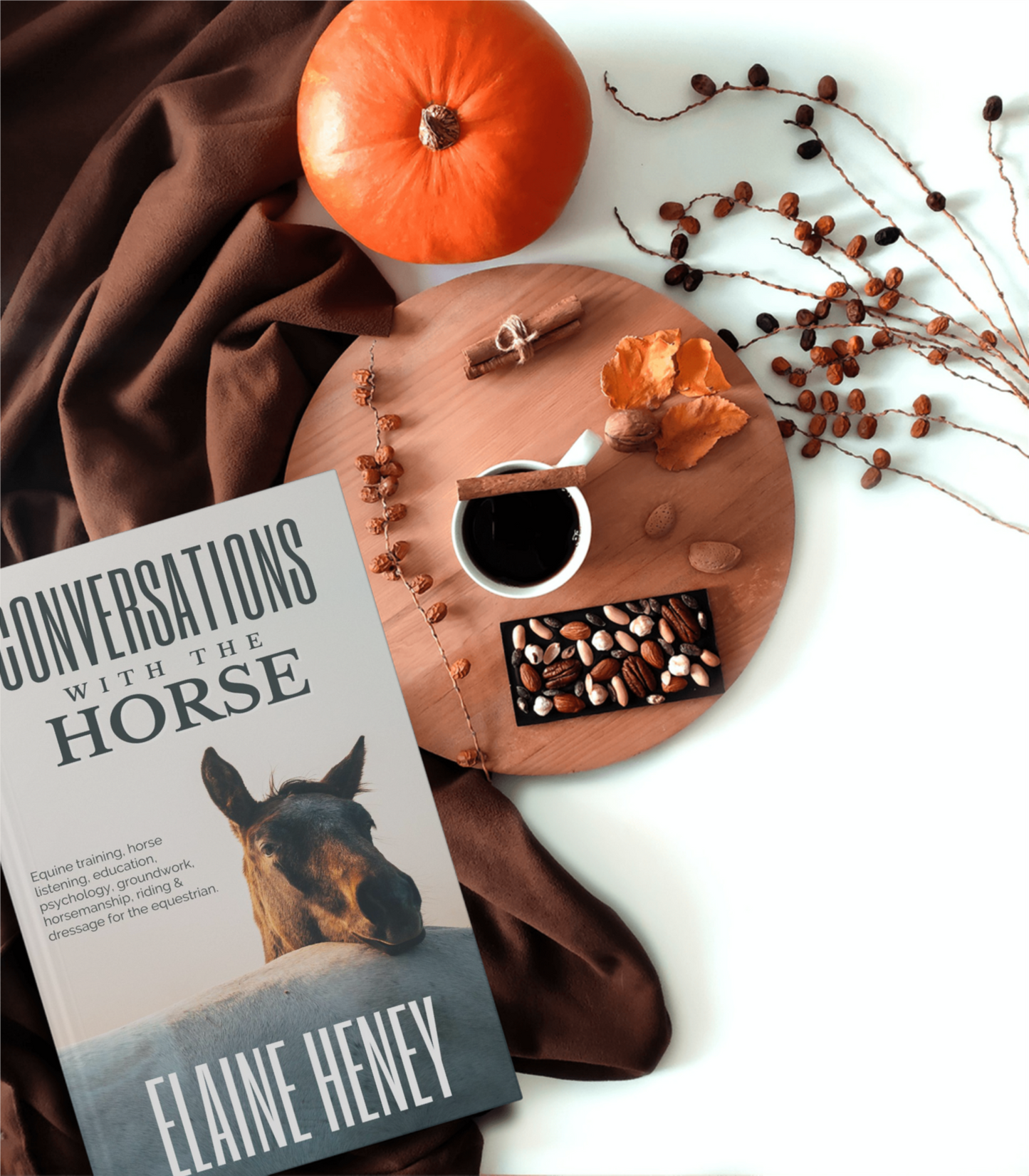 Conversations with the Horse: The incredible stories of how the 'Listening to the Horse' documentary helped hundreds of thousands of horse riders