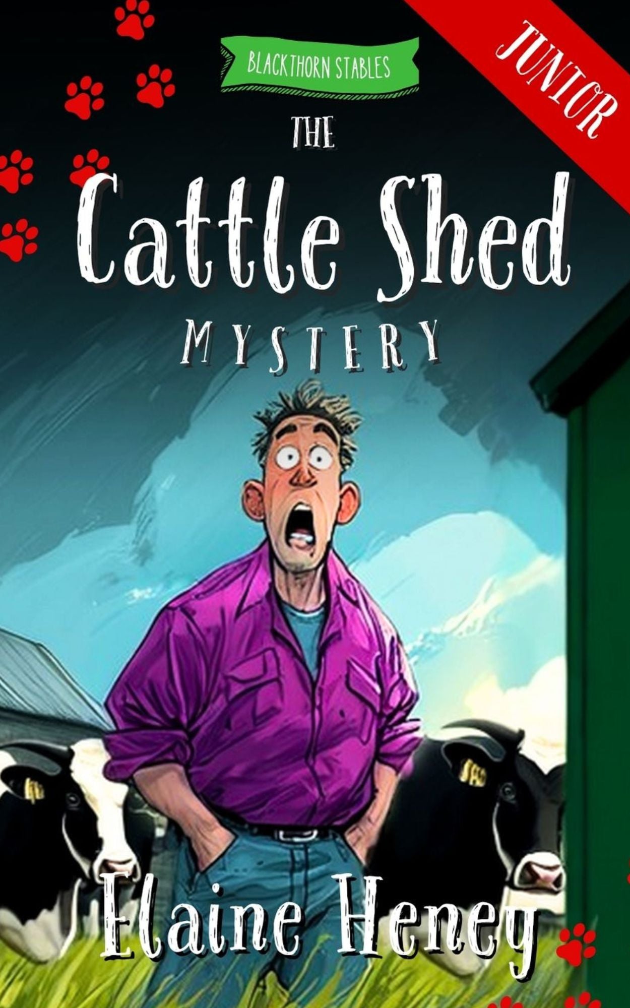 The Cattle Shed Mystery - Blackthorn Stables Junior - AnPost