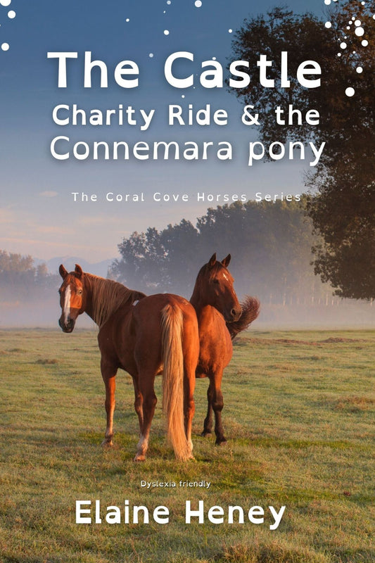 The Castle Charity Ride and the Connemara Pony - Dyslexia Friendly