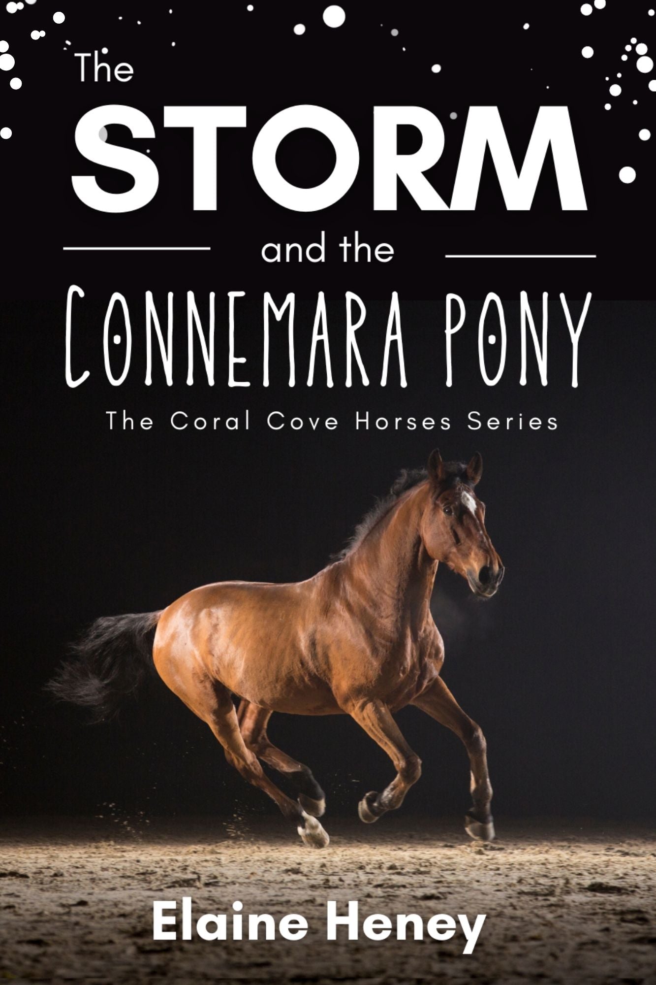 The Storm and the Connemara Pony - The Coral Cove Horses Series - AnPost