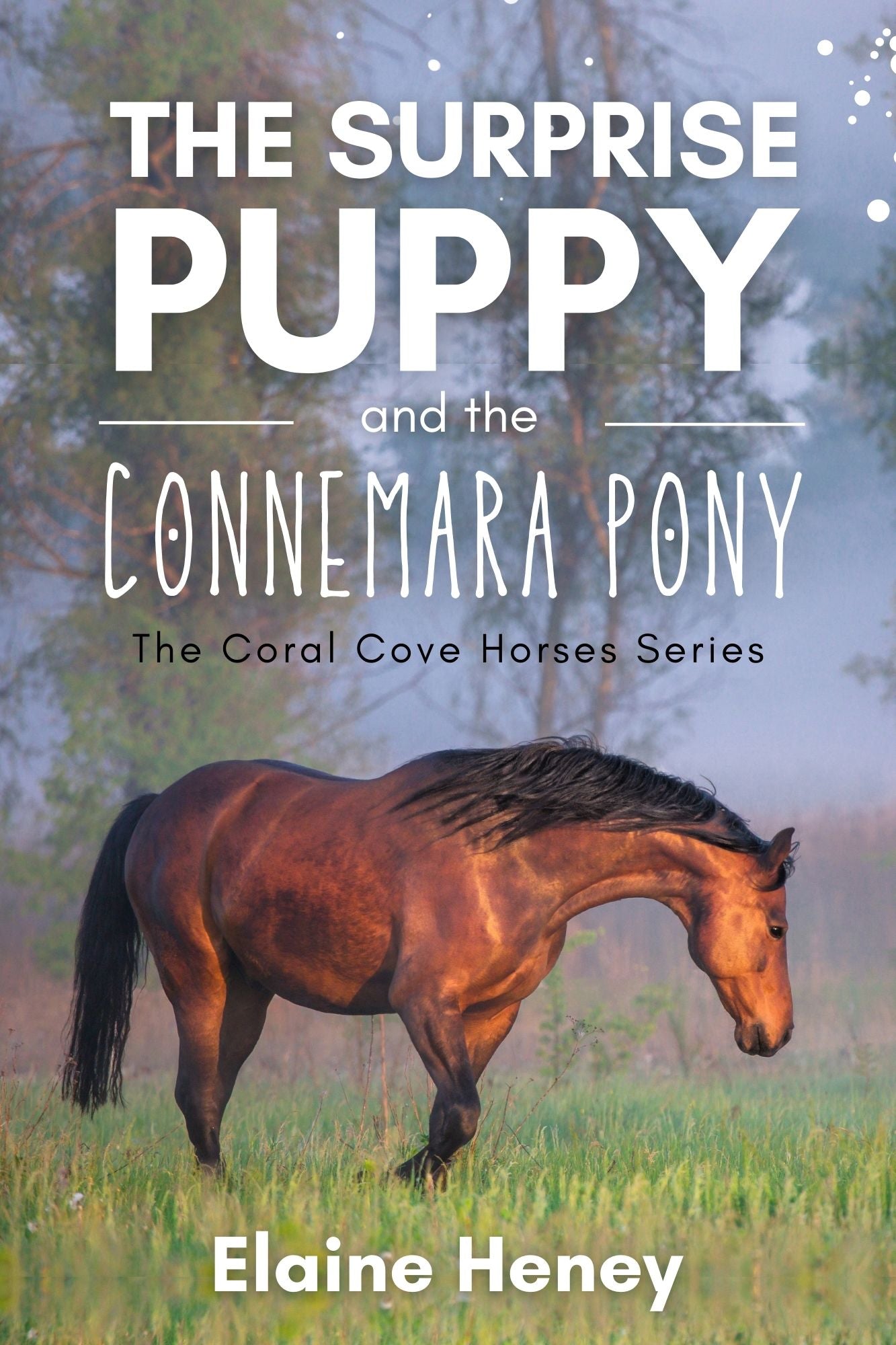 The Surprise Puppy and the Connemara Pony - The Coral Cove Horses Series - AnPost