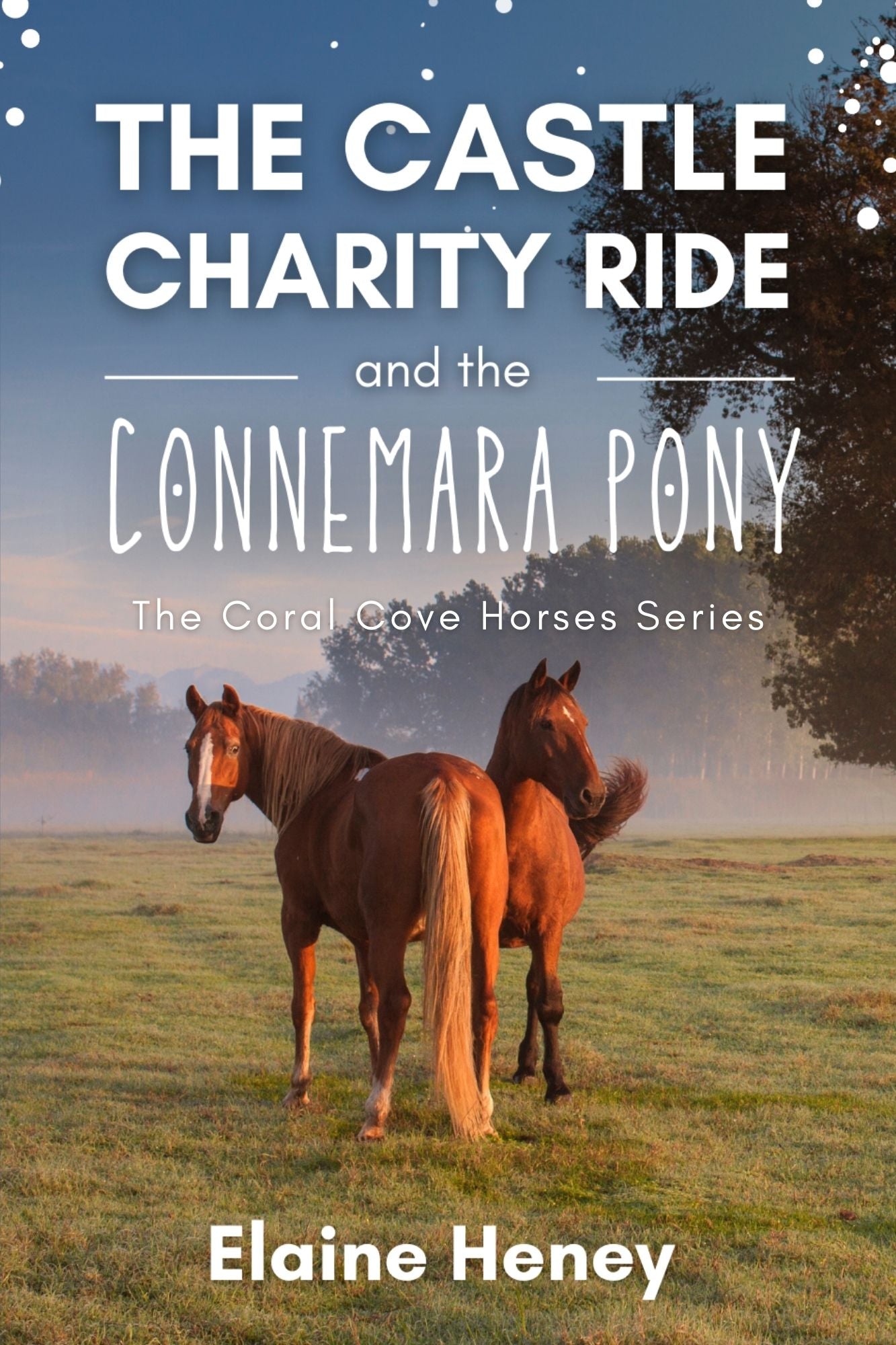 The Castle Charity Ride and the Connemara Pony - The Coral Cove Horses Series - AnPost