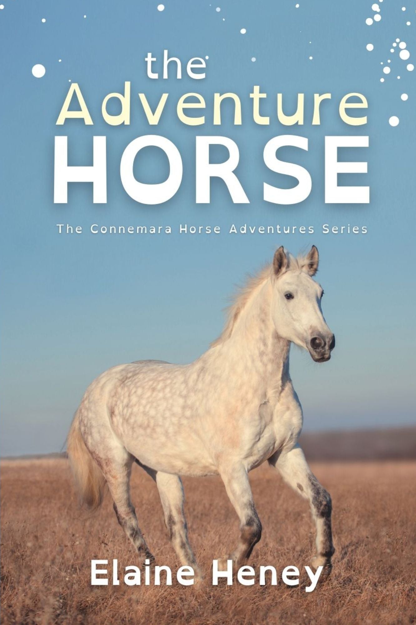 The Adventure Horse - Dyslexia Friendly