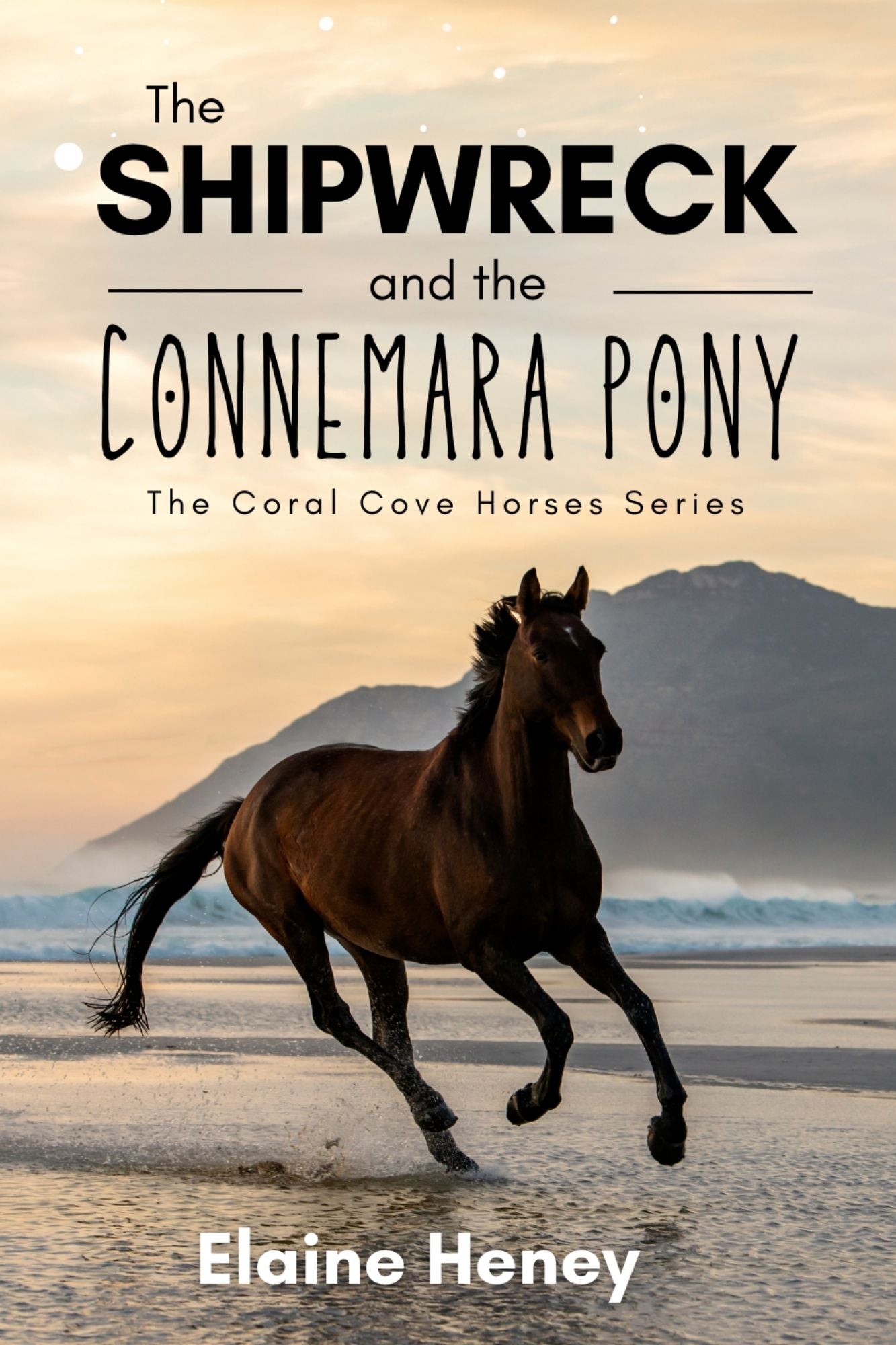 The Shipwreck and the Connemara Pony - The Coral Cove Horses Series - AnPost