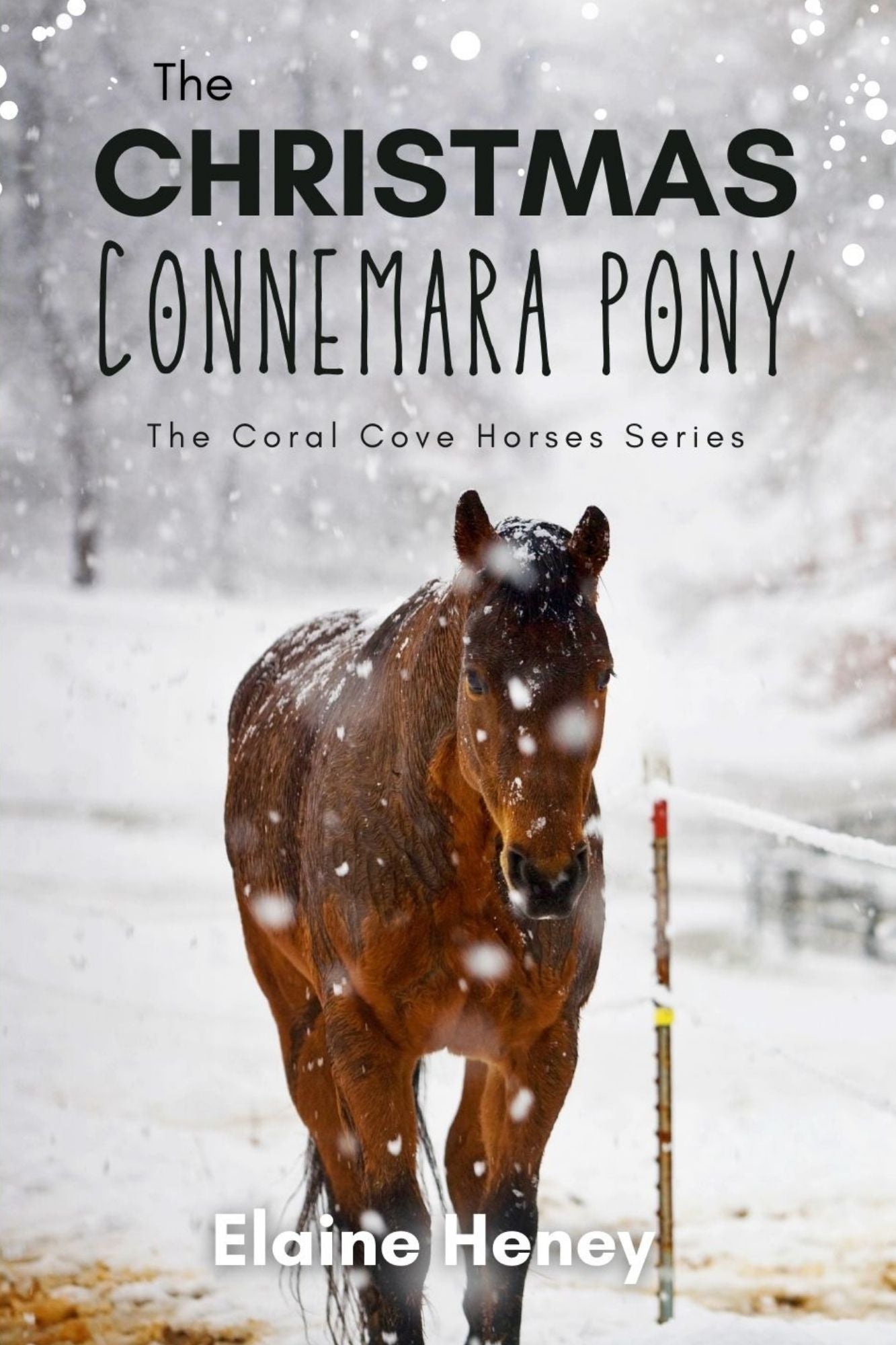 The Christmas Connemara Pony - The Coral Cove Horses Series - AnPost