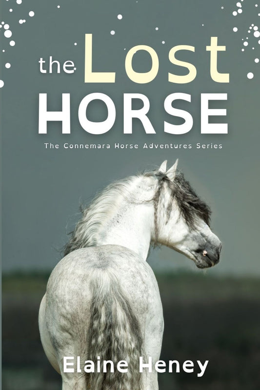 The Lost Horse - Dyslexia Friendly - AnPost