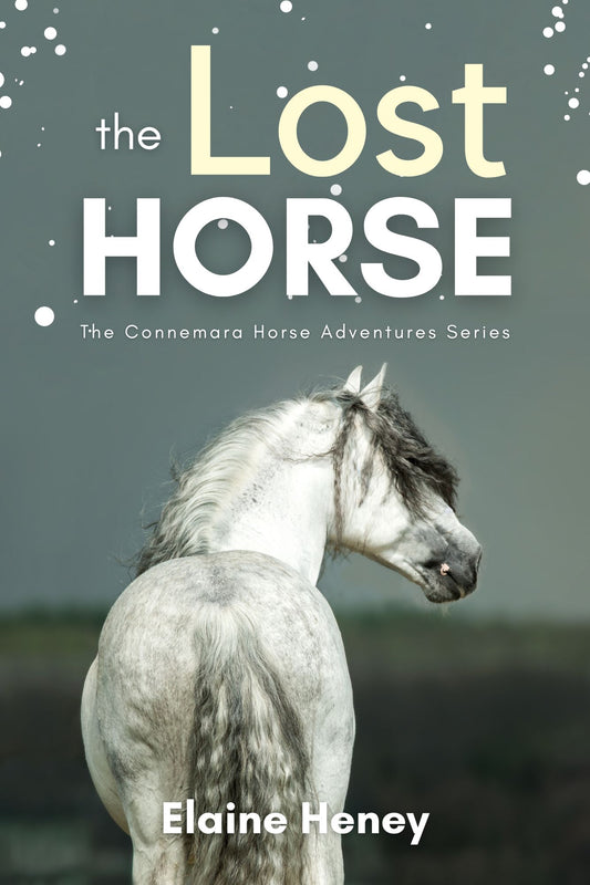 The Lost Horse - Book 6 in the Connemara Horse Adventure Series for Kids - AnPost