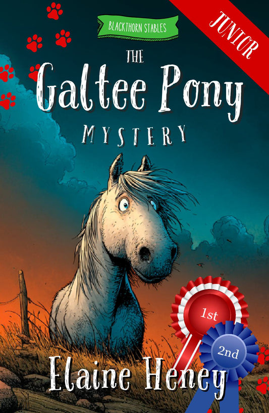 The Galtee Pony Mystery - Blackthorn Stables Junior