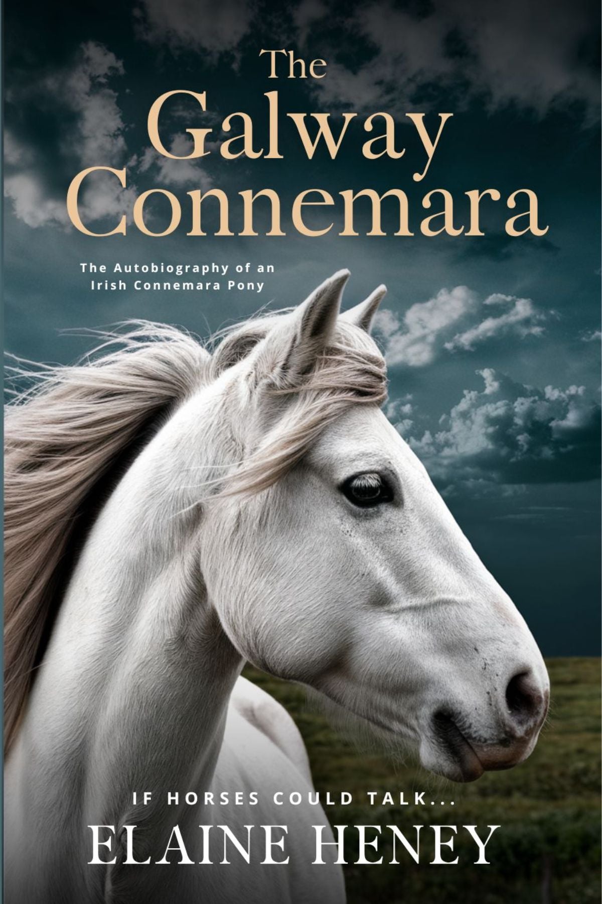 The Galway Connemara | The Autobiography of an Irish Connemara Pony - PAPERBACK - AnPost