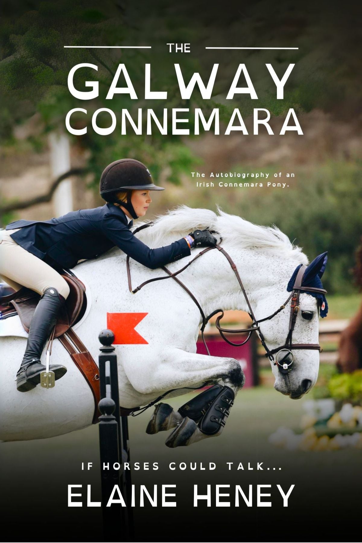 The Galway Connemara | The Autobiography of an Irish Connemara Pony - Dyslexia Friendly