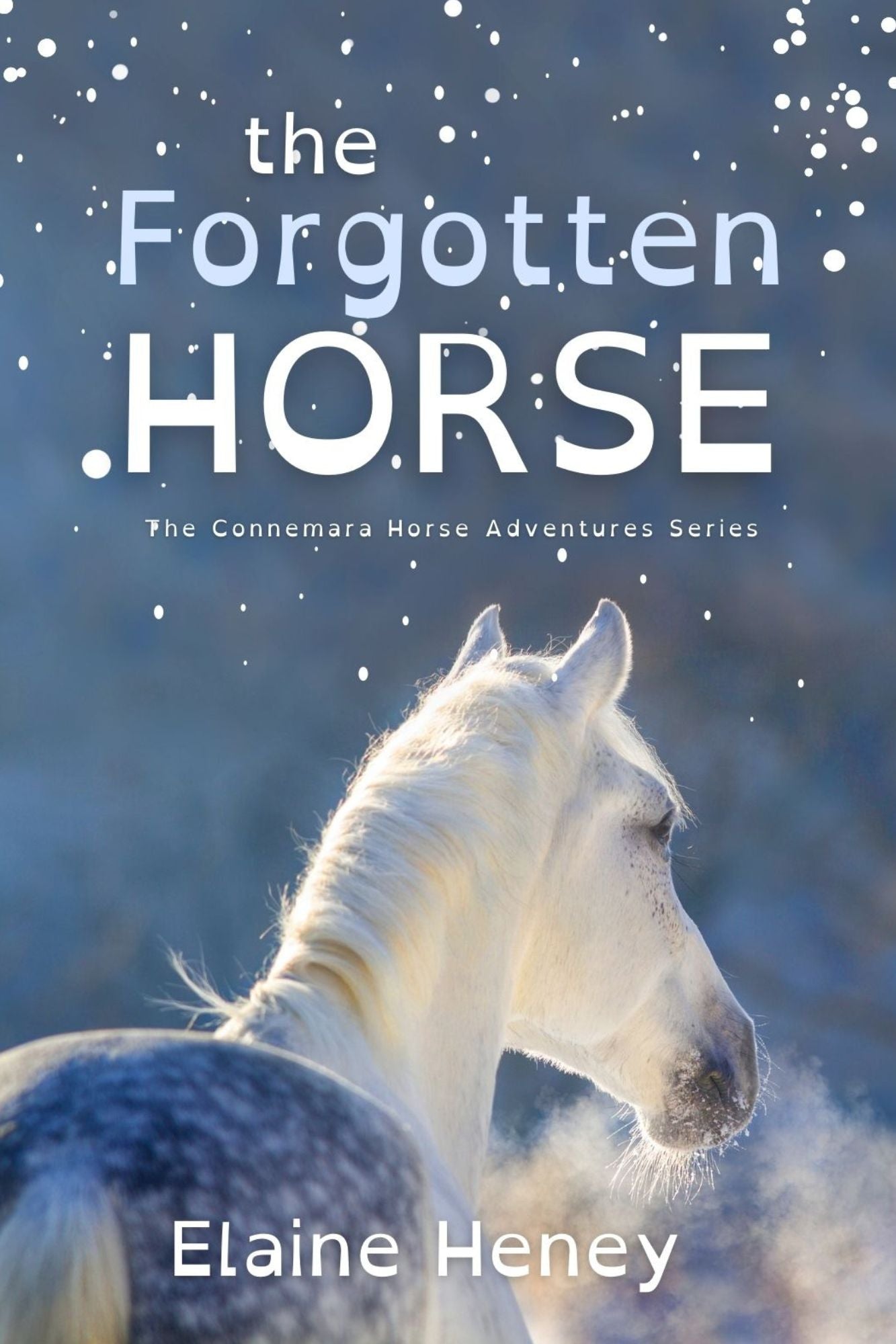 The Forgotten Horse - Dyslexia Friendly - AnPost